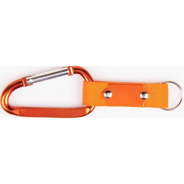 Carabiner with Strap and Metal Plate