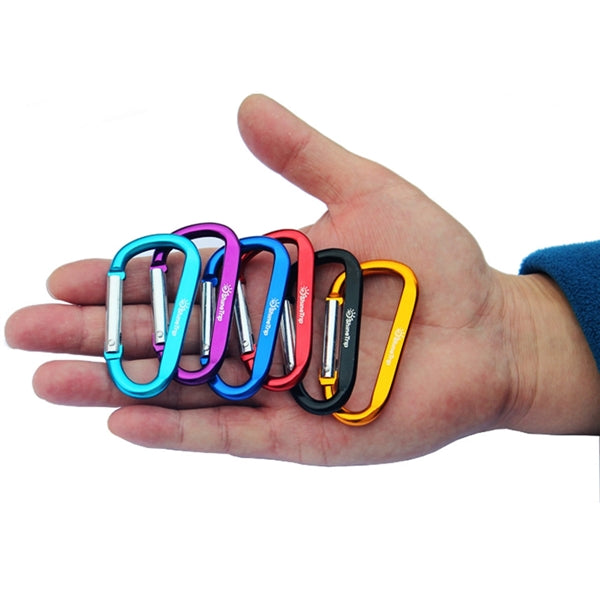 Carabiner Key Chain