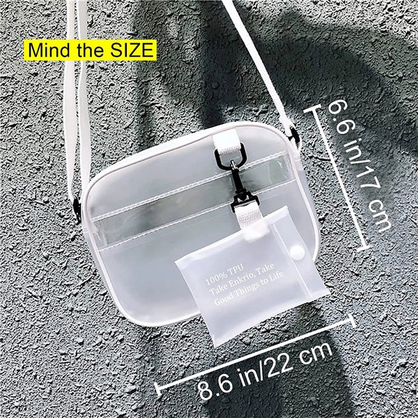 Clear Purse Mini Messenger Bag
