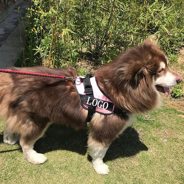 Dog Vest Leash