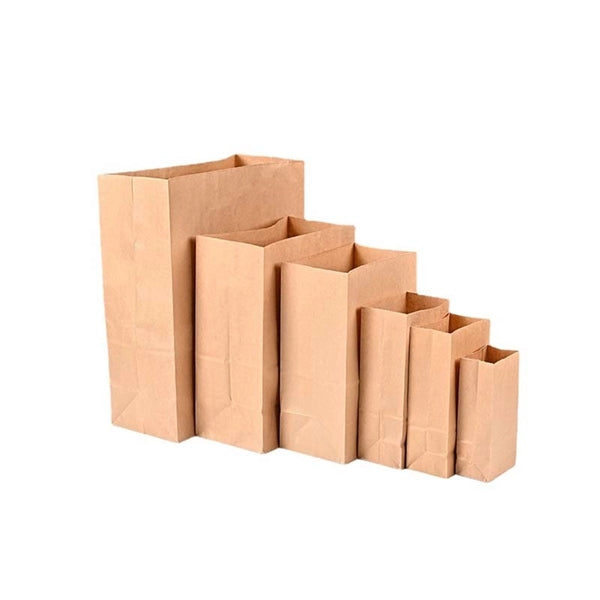 Disposable Kraft Paper Lunch Bag