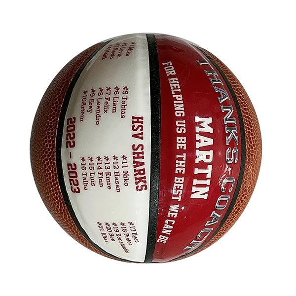 Basketball All Size Available