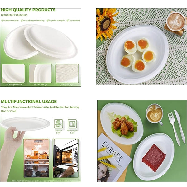 Disposable Sugarcane Paper Plate