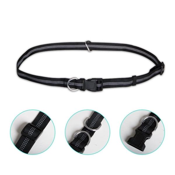Hands Free Dog Leash Bungee Waist Bag