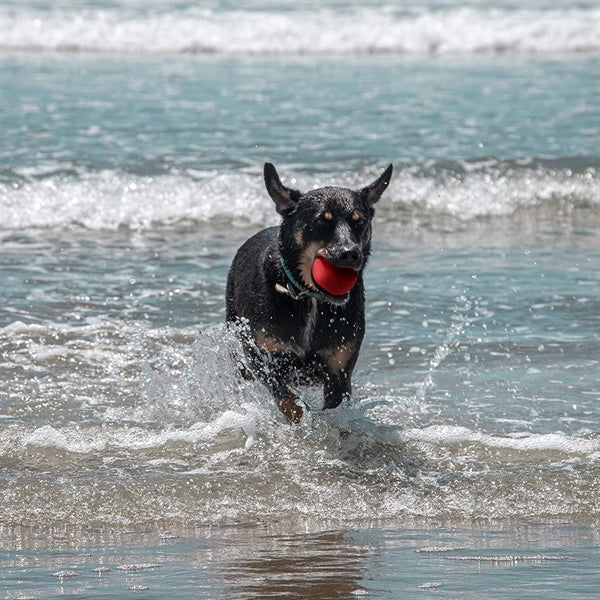 Beach Water Bouncing Ball