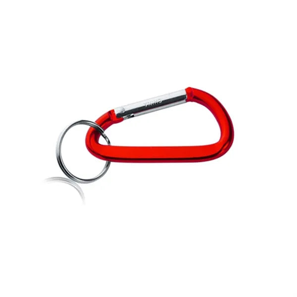 Carabiner Metal Keychains