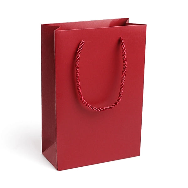 Paper Gift Bag