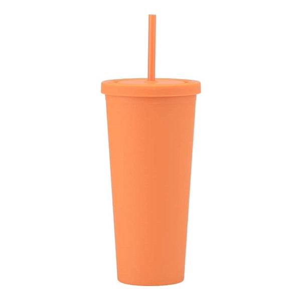 24oz Double Wall Plastic Tumbler with Lid and Straw