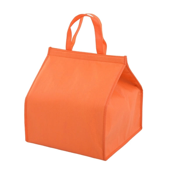 Cooler Bag