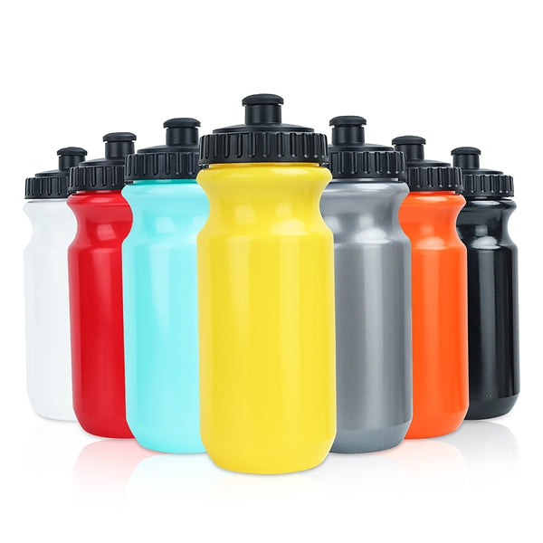 Sport Bottle with Push Pull Lid