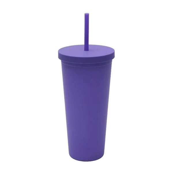 24Oz Double Plastic Outdoor Straw Cup