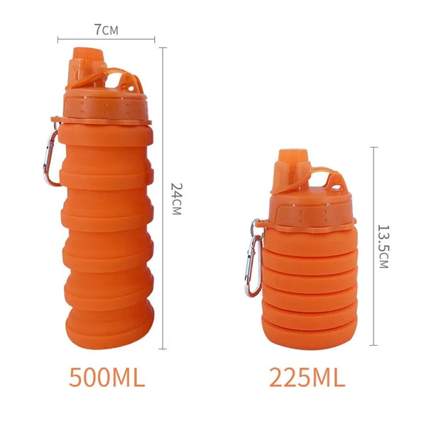 Collapsible Sports Water Bottle