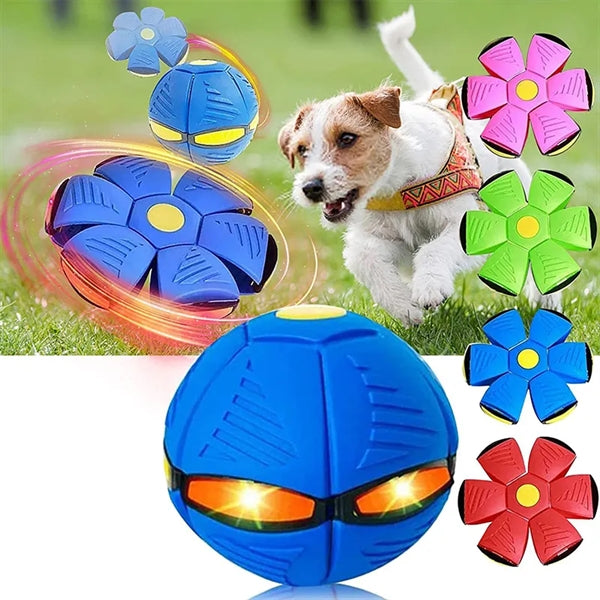 Dog Flying Saucer Glowing Ball Deformation Magic Football