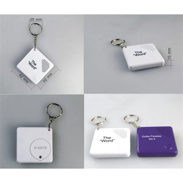 Sound Voice Music Plastic Keychain