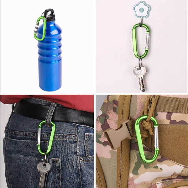 Carabiner Keychain