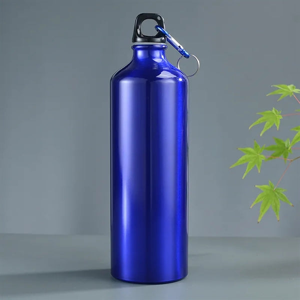 25oz Aluminum Sports Water Bottle with Twist Cap and Hook