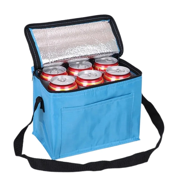 6 Pack Insulated Cooler Box