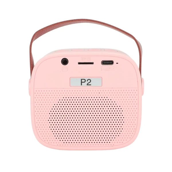 Karaoke Machine with Wireless Microphone