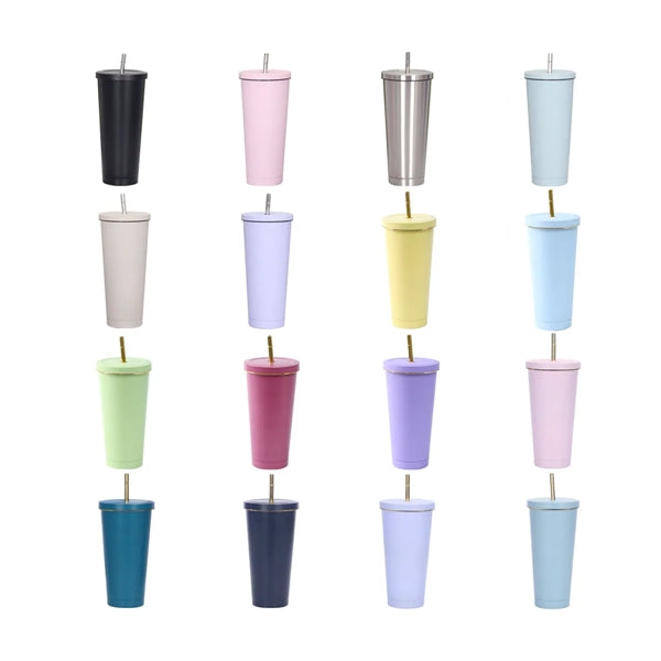 17 Oz Insulated Stainless Steel Straw Cup
