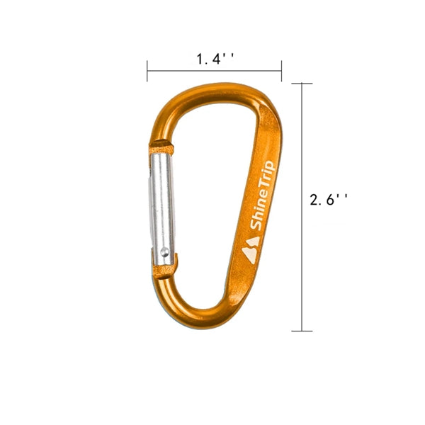 Aluminum Alloy D Ring Shape Carabiner Key Chain