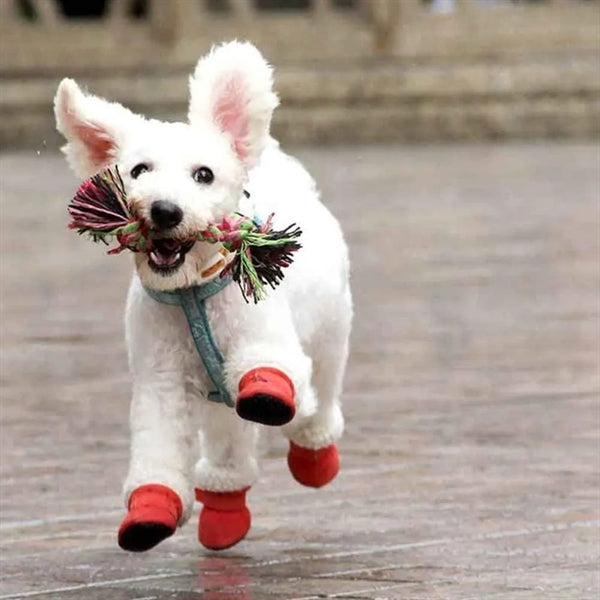 Warm Small Dog Snow Boots
