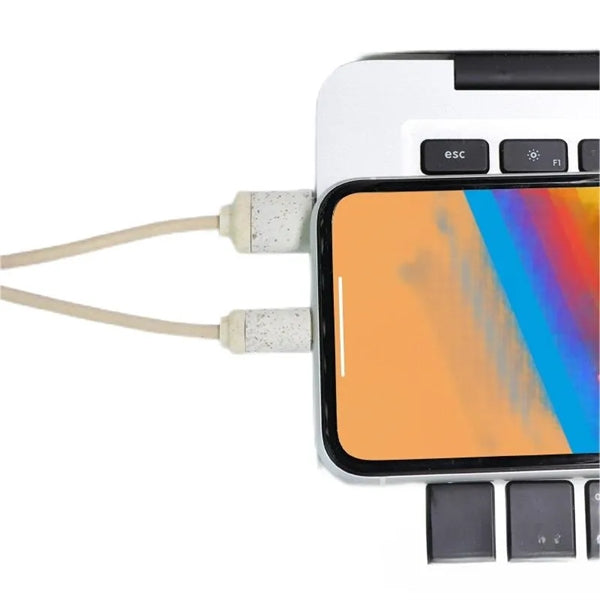 Eco-friendly 3-In-1 Charging Buddy With Key Chain