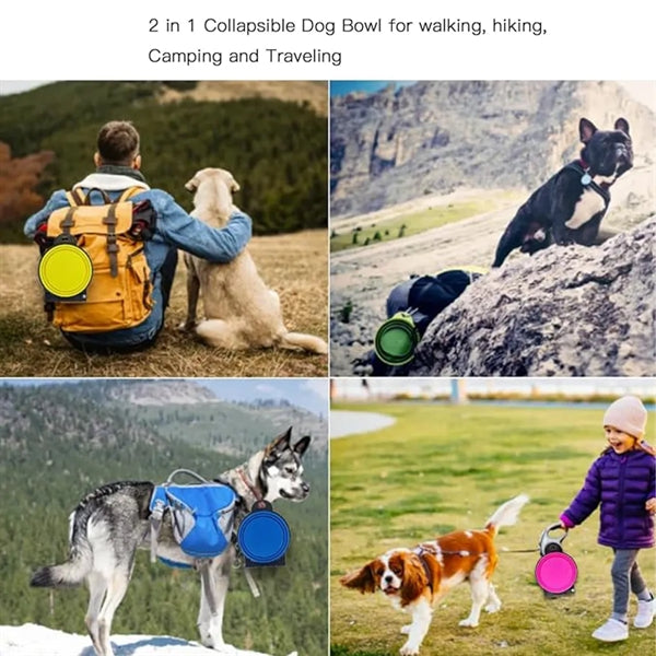 Collapsible Double Dog Bowl