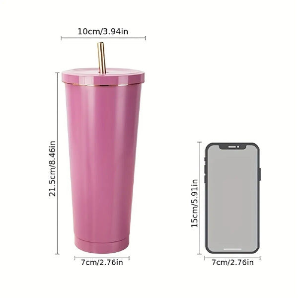 25oz Stainless Steel Insulated Tumbler With Straw Lid
