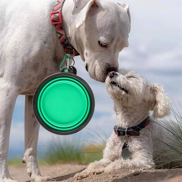 35 OZ Collapsible Silicone Pet Bowl