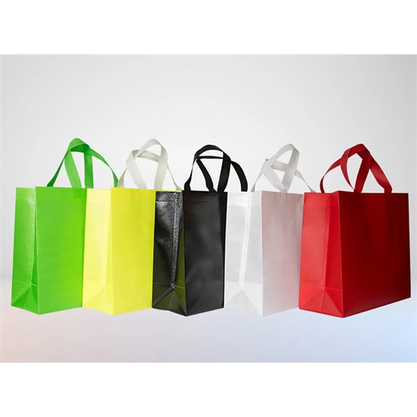 Laminated Non-Woven Bag