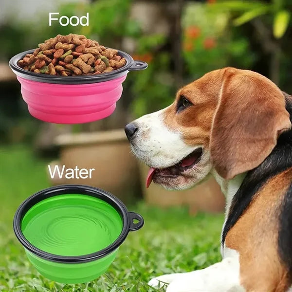 Collapsible Dog Bowl