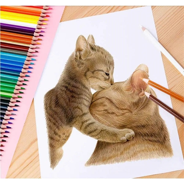 Colored Pencils