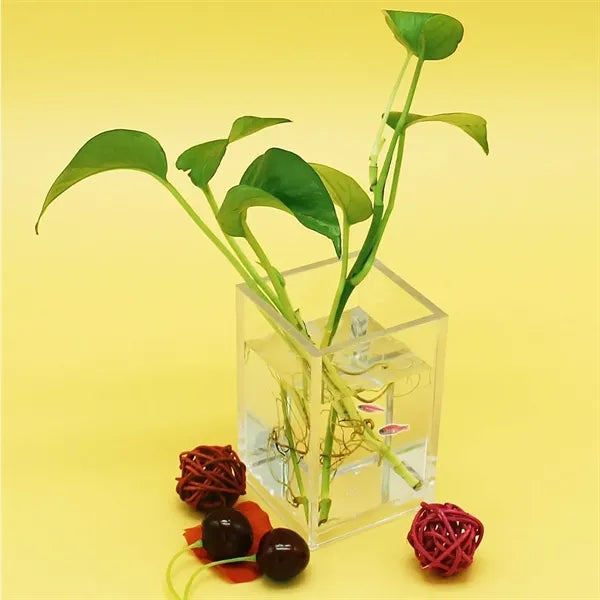 Acrylic Pen Holders