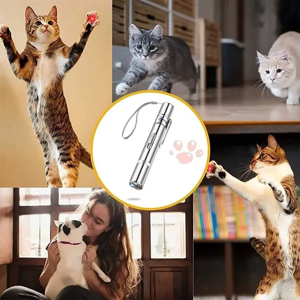 Multifunctional Rechargeable Laser Funny Cat Pen