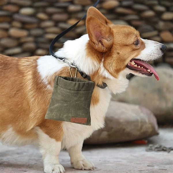 Dog Treat Pouch