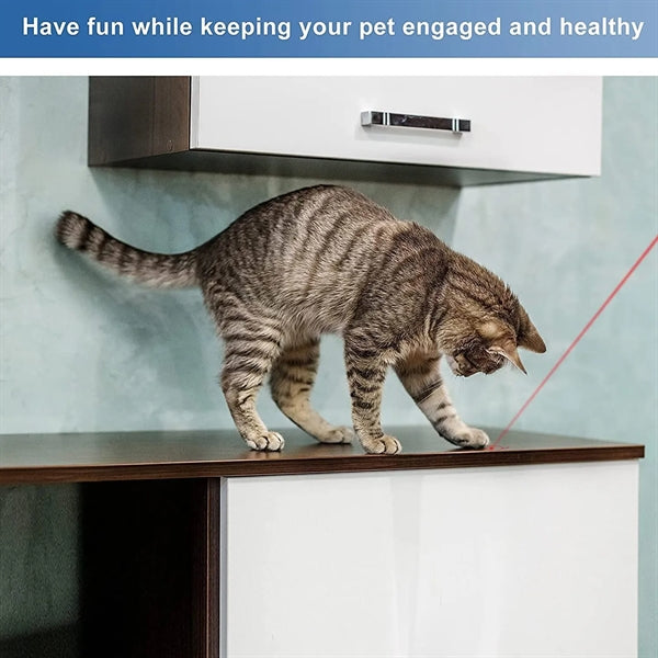 Laser Pointer Interactive Toys for Indoor Cats Dogs