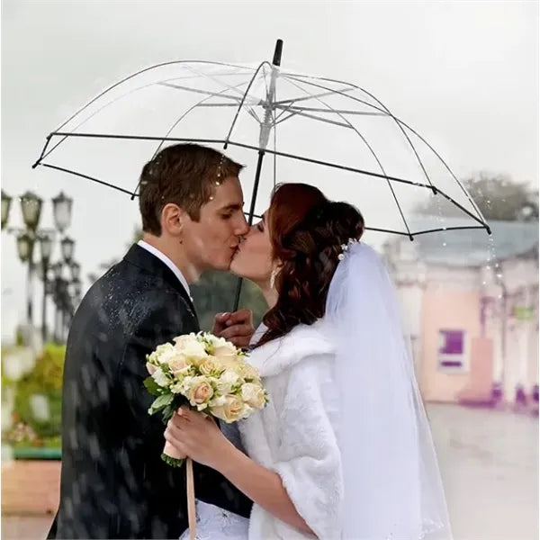 46" Arc Clear Umbrella