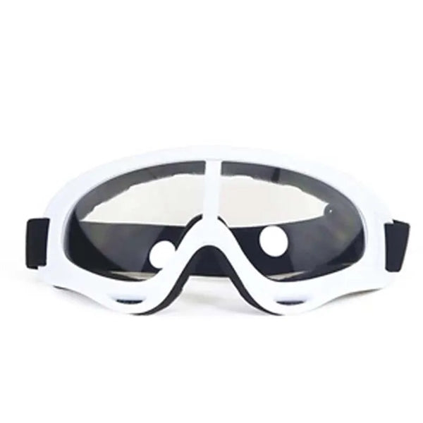 Motorcycle Ski Goggles