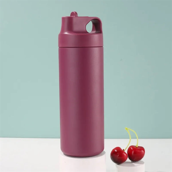 17oz Insulated Water Bottle with Straw Lid