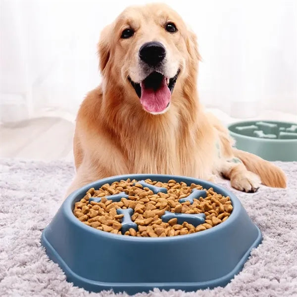 Dog Slow Food Bowl