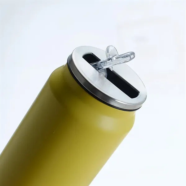 17oz Stainless Steel Cooling Can With Straw Lid