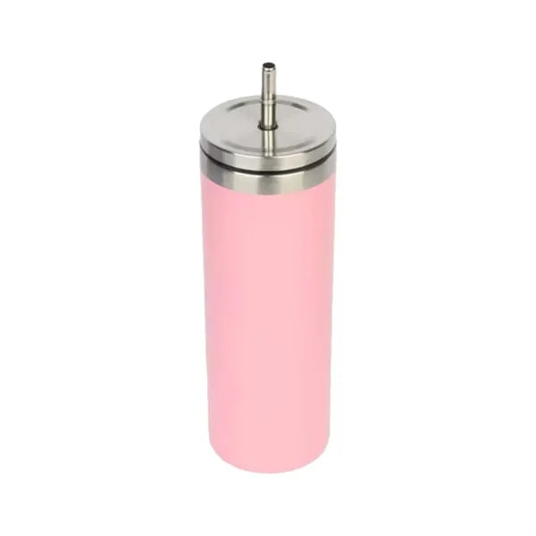 20Oz Stainless Steel Straw Bottle