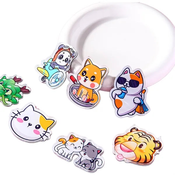 Acrylic Magnets Stickers