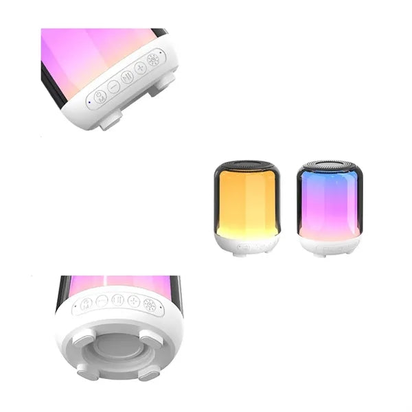 Portable Bluetooth Speaker