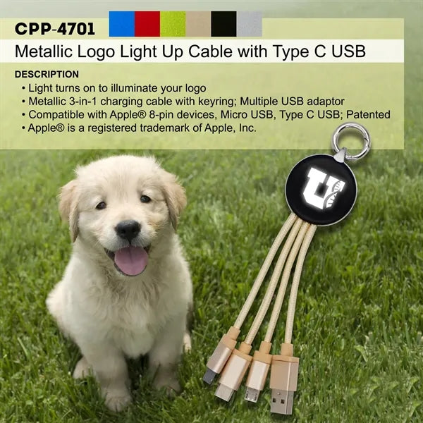 Metallic Logo Light Up Cable with Type C USB