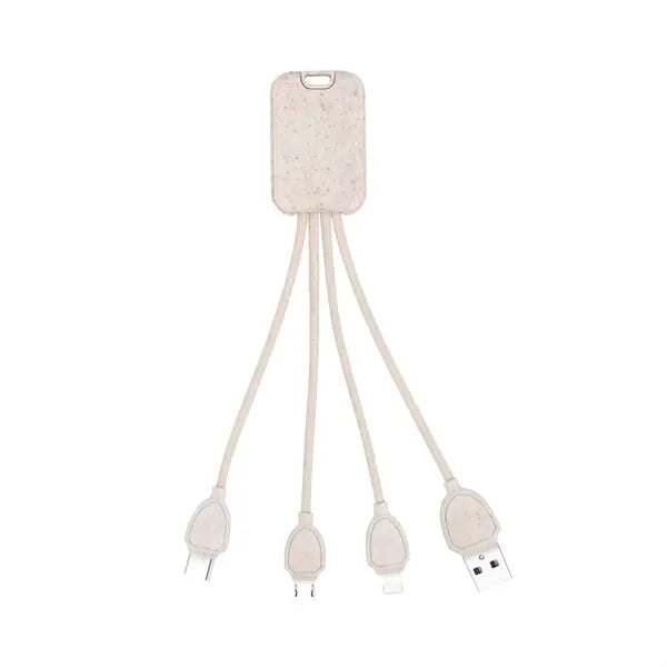 Raneon 3in1 Charging Cable