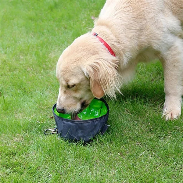 Collapsible Silicone Dog Bowl