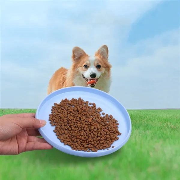 Pet Outdoor Flying Discs