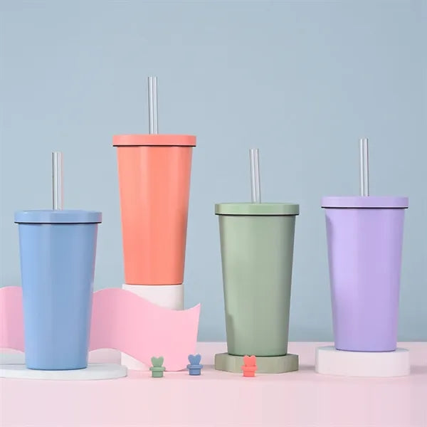 Insulated Tumbler with Lid and Straw 17 Oz.