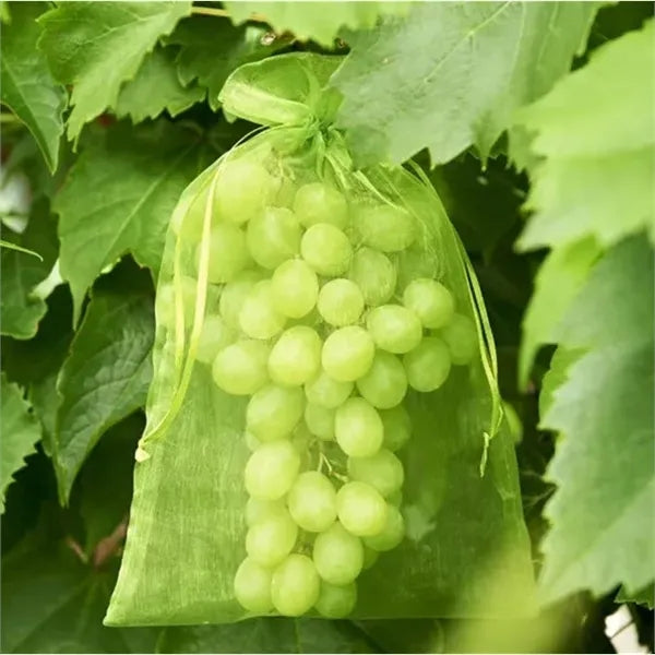 Organza Gift Bag Drawstring Storage Pouch